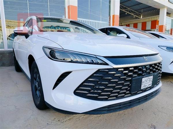 بي واي دي Qin Plus 2025 للبيع في العراق - النجف